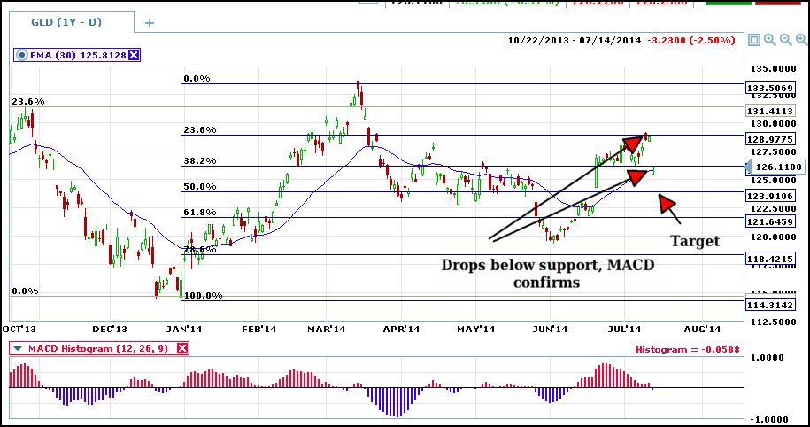 daily gld with fibs